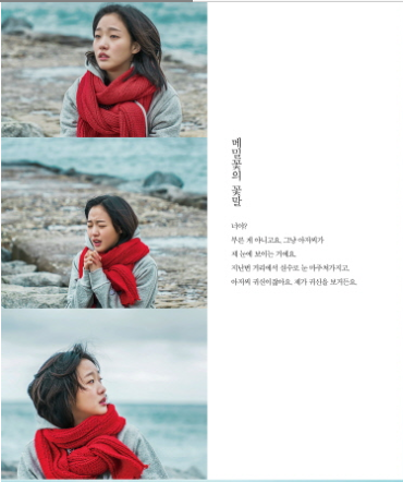 Libro del drama Goblin (Fotos, Poemas)