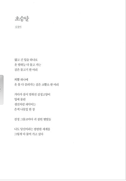 POEMA DE GOBLIN 어쩌면 별들이
