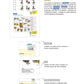 Coreano fácil Vocabulario