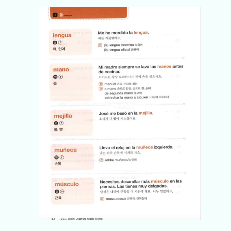 Vocabulario Coreano-Español